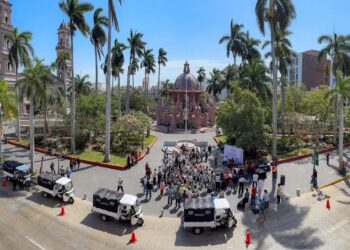 Retiran caballos de labores de arrastre en Tampico para frenar la explotación animal