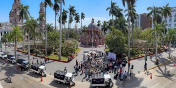 Retiran caballos de labores de arrastre en Tampico para frenar la explotación animal