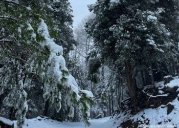 Se esperan condiciones de clima extremo por nevadas en el norte y vientos en el sur