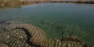 Tribunal ratifica sentencia para la protección del acuífero en la Región Lagunera