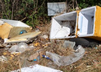 Basurero clandestino en la SM 259 es clausurado por Ana Paty Peralta en Cancún