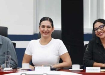 Desarrollo urbano en Playa del Carmen avanza con movilidad moderna, bienestar animal y cultura