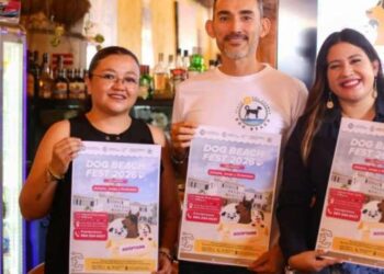 Dog Festival en Playa del Carmen impulsará adopción y bienestar animal