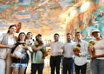 Tenencia responsable de animales: presentan iniciativa para reforzar sanciones en Quintana Roo