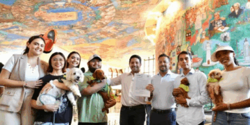 Tenencia responsable de animales: presentan iniciativa para reforzar sanciones en Quintana Roo