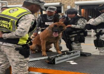 Decomiso de metanfetamina: aseguran 60 kilos en Jalisco con destino a Nueva Zelanda