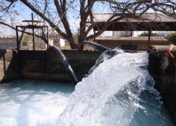 Agua en común en La Laguna: arte y conciencia por el rescate del acuífero