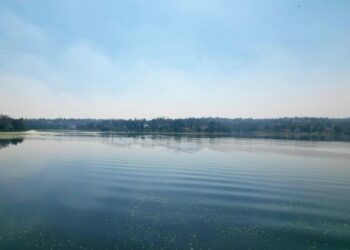 Logran limpieza total de la Presa de Guadalupe tras retirar plagas