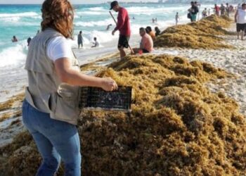 ¿Está Cancun preparado para la próxima oleada de sargazo en esta Semana Santa?