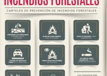 Estrategias de prevención ante la temporada de incendios forestales en Cancún