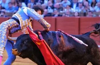 "Andrés Roca Rey sufre cornada de gravedad en la Maestranza de Sevilla"