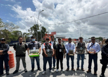 Venta ilegal de animales en Cancún: aseguran fauna exótica en tianguis tras denuncias ciudadanas