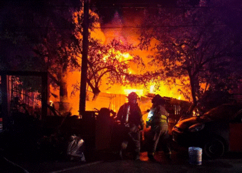 Aumentan incendios en áreas verdes de Cancún: registran hasta 18 por semana