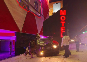"Choque en Cancún termina en tragedia: muere perrito tras impacto en motel Play"