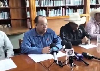 #VIDEO: "Diputado compara el cuidado de los caballos con el de las mujeres"
