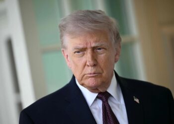 Donald Trump confirma que el líder de China acordó no enviar armas a Irán