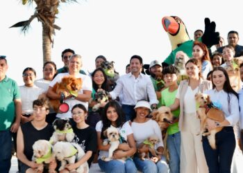 Clínicas veterinarias públicas en Quintana Roo: Congreso aprueba iniciativa de Tajonar para mejor servicios