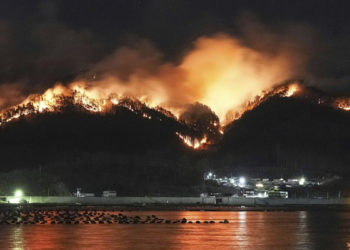 "Incendio forestal en Japón: evacúa a más de 2.500 residentes en Ōtsuchi"