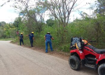 Limpian la maleza de las señales de tránsito para evitar percances en Lázaro Cárdenas