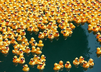 "Miles de patitos de goma inundan de color un río en Alemania por una noble causa"
