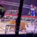 "Pánico en Rusia: Un tigre se escapó de su jaula durante una función de circo"