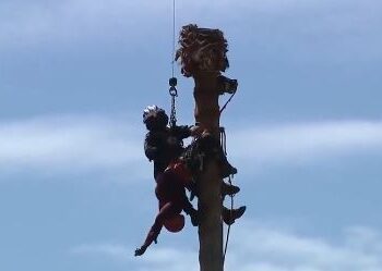 "Rescatan en helicóptero a un podador de árboles a 23 metros de altura California"