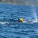 Salvan a una ballena jorobada de 10 toneladas varada por segunda vez en una semana en Australia