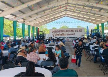 🐄 Gobierno de la expanista Estefanía Mercado refrenda apoyo al campo en Quintana Roo durante Día del Ganadero