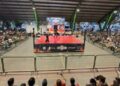 🤼🎉 Lucha Libre en Cancún reúne familias en campeonato municipal por Día del Niño