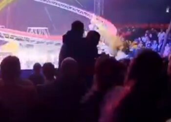 🎥 Video viral: Tigre salta hacia el público en circo de Rusia y desata pánico entre asistentes