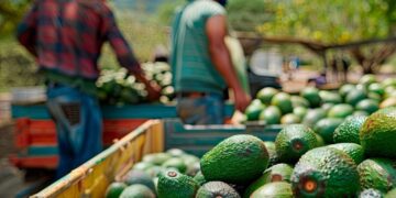 Trabajadores en México viven una “primavera en el mundo laboral”, dice Claudia Sheinbaum