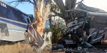 Tragedia en Amealco: autobús choca contra árbol; al menos nueve muertos