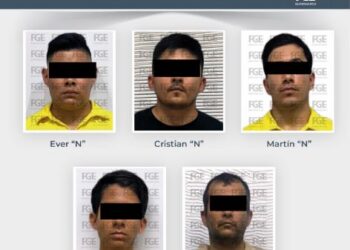 🚨 Crueldad animal en Playa del Carmen: vinculan a 5 sujetos