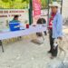 🐶 Vacunan a más de 300 mascotas en Chetumal