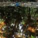 🌿♻️ Invitan a participar en actividades ambientales en Cancún