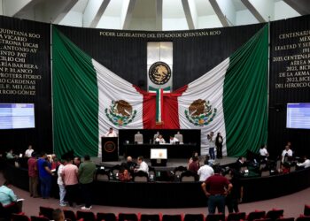 "Avances legislativos para garantizar un medio ambiente sano en Quintana Roo"