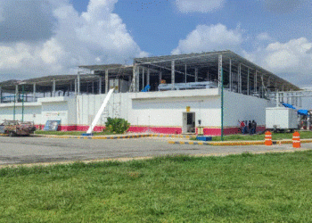 Planta moscas estériles contra gusano barrenador avanza 🚨