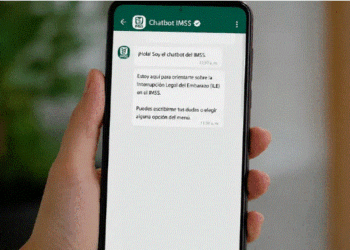 IMSS lanza chatbot sobre interrupción del embarazo