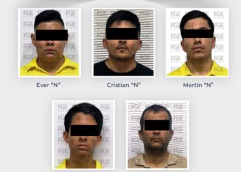 Crueldad animal en Playa del Carmen: vinculan a proceso a 5 hombres por maltrato de felinos exóticos