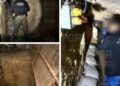 "Desmantelan túnel de huachicol en Santa Catarina, Nuevo León"