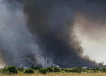 'El Niño' aumentaría el riesgo de incendios forestales en estas regiones