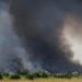 'El Niño' aumentaría el riesgo de incendios forestales en estas regiones