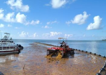 Exitosa recolección de sargazo en Quintana Roo supera las 39 mil toneladas este año