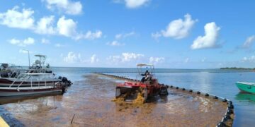 Exitosa recolección de sargazo en Quintana Roo supera las 39 mil toneladas este año