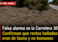 Falsa alarma en la Carretera 307: Confirman que restos hallados eran de fauna y no humanos