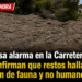 Falsa alarma en la Carretera 307: Confirman que restos hallados eran de fauna y no humanos