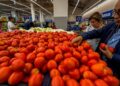 La inflación general en México registra un descenso y se ubica en 4.45 por ciento durante abril