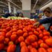 La inflación general en México registra un descenso y se ubica en 4.45 por ciento durante abril
