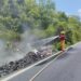 "Protección Civil reporta cero incendios forestales en Lázaro Cárdenas"