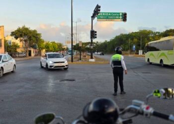 ⚡😡 Playa del Carmen sufre cuatro apagones en una semana
